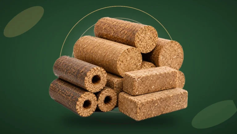 Biomass briquettes