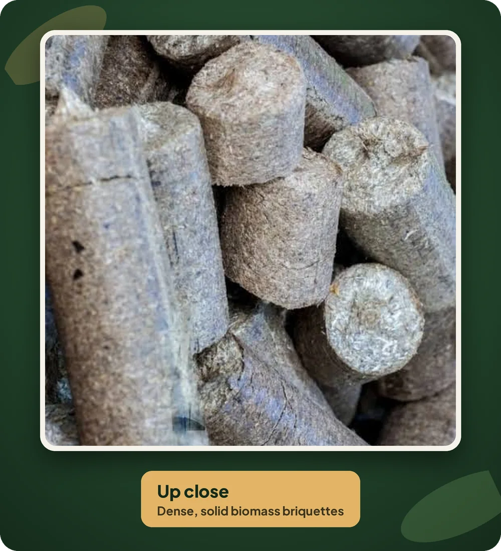 Biomass briquettes close up – Shreeji Global Enterprise