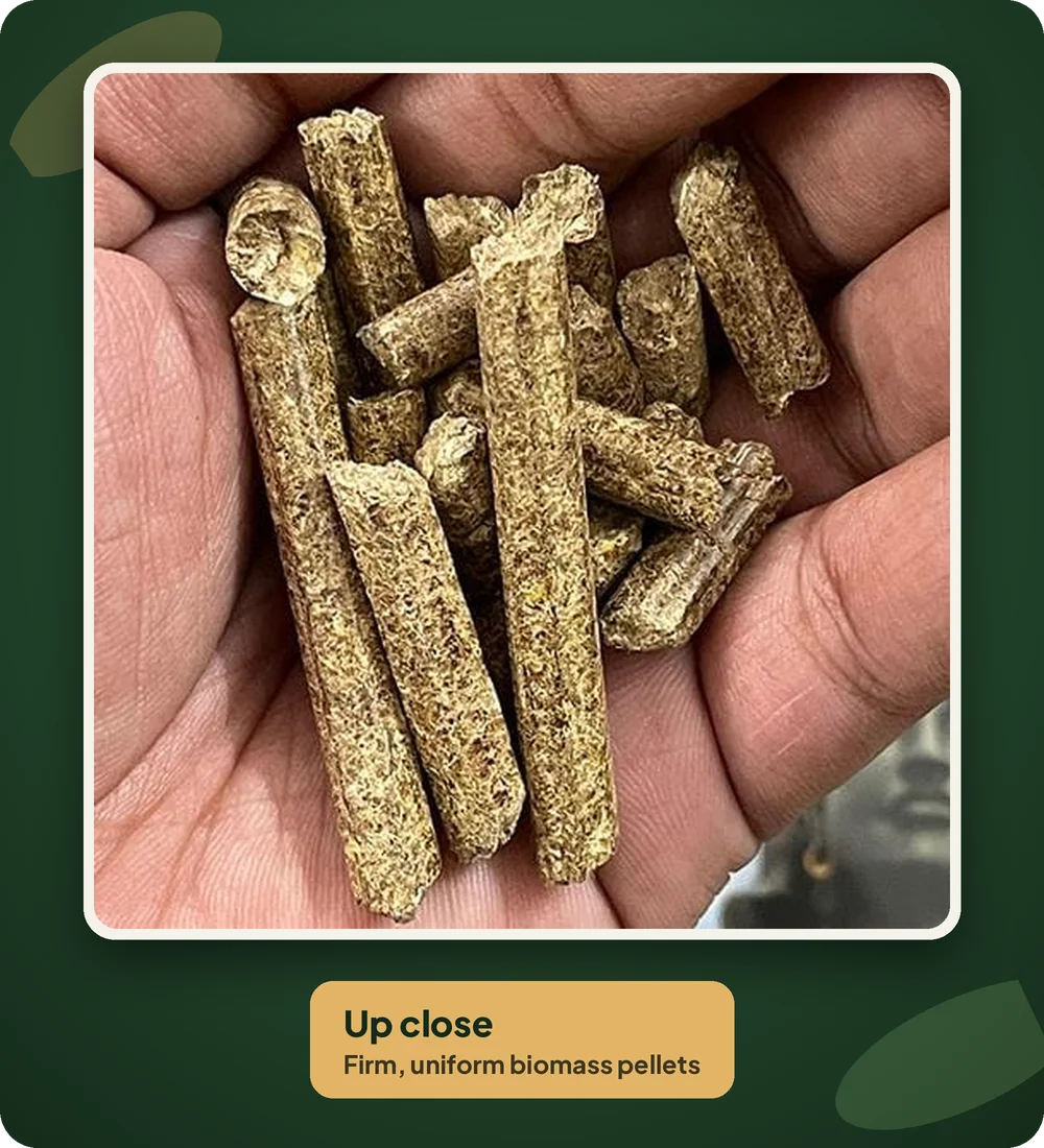 Biomass pellets held in hand – close-up of Shreeji pellets